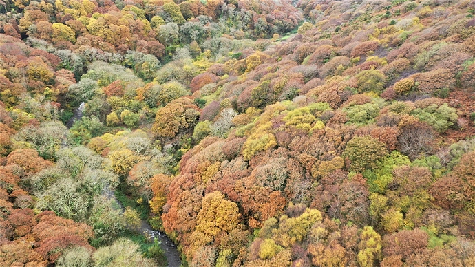 AUTUMN%2CBOCASTLE%20VALLEY