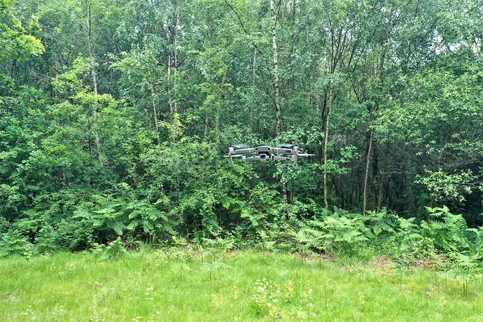 DJI_0703%20havant%20thickett
