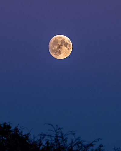 Butser%20Moon