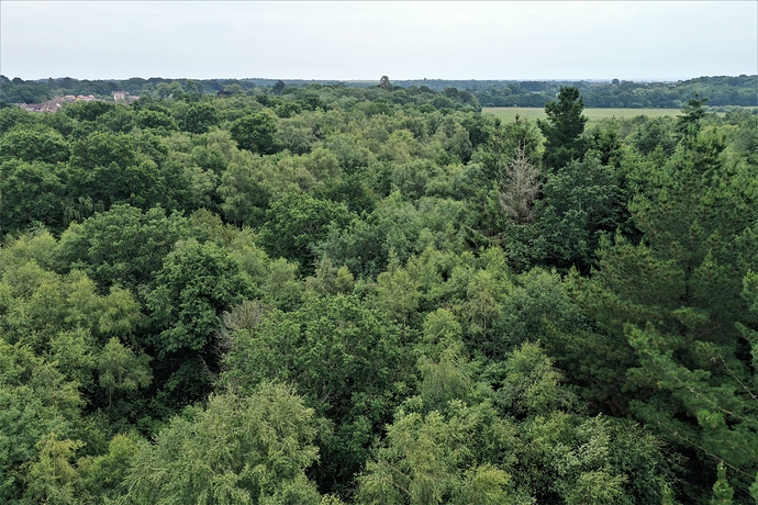 DJI_0707%20havant%20thicket
