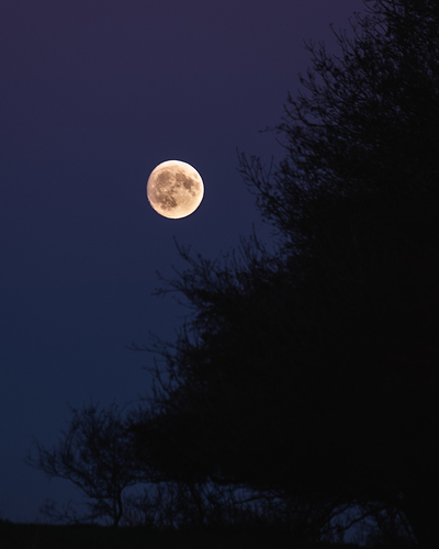 Butser%20moon%202%20