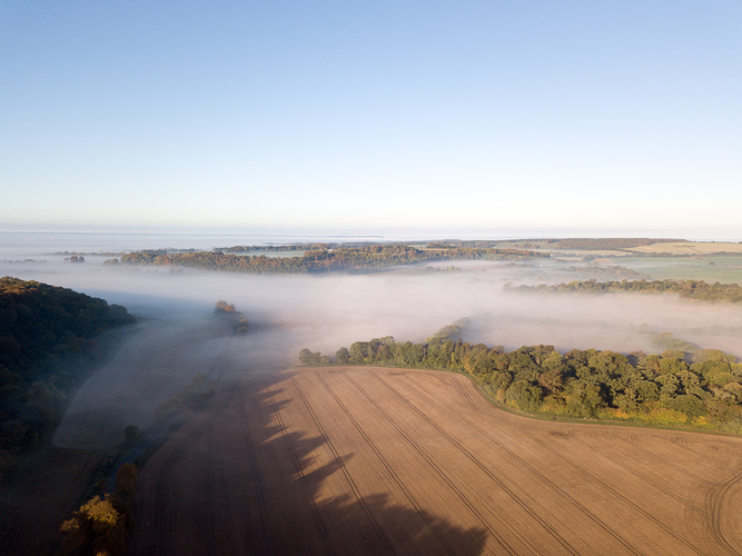 20181021_085648_DJI_0663