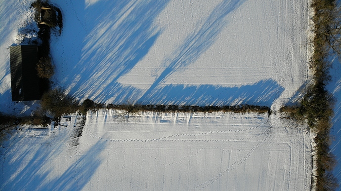 org_be291a76d095a86e_1549121456000