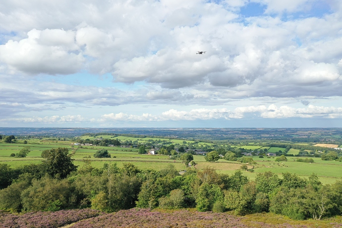DJI_0745