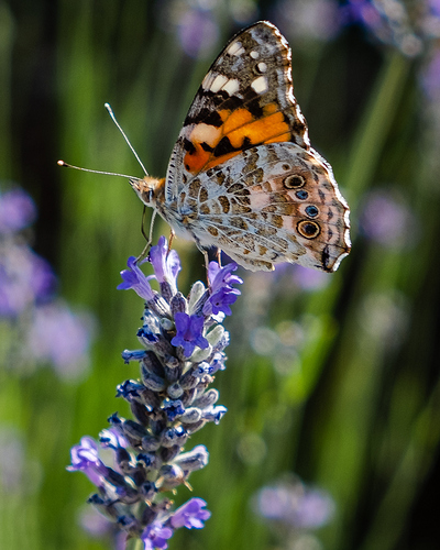 3B7BD04E-EF1A-444F-9664-780F87CE6609