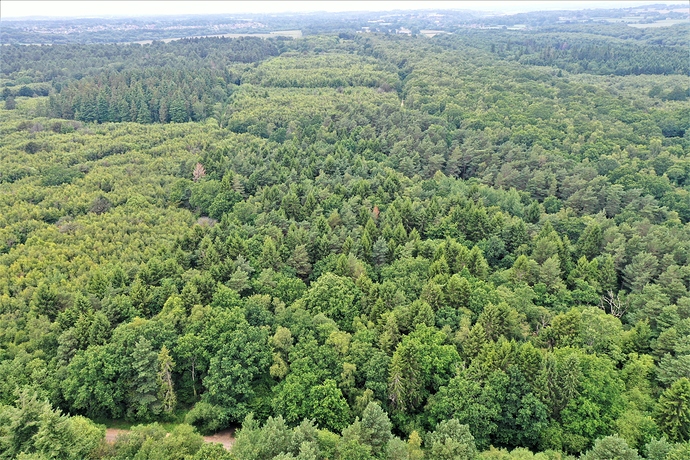 DJI_0709%20havant%20thickett