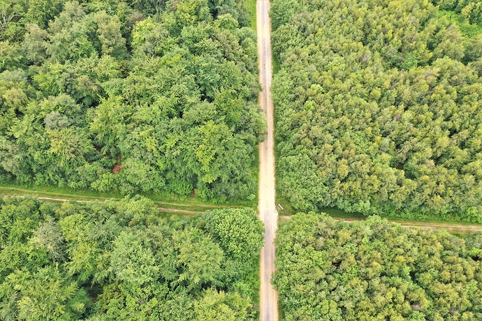 DJI_0711havant%20thickett