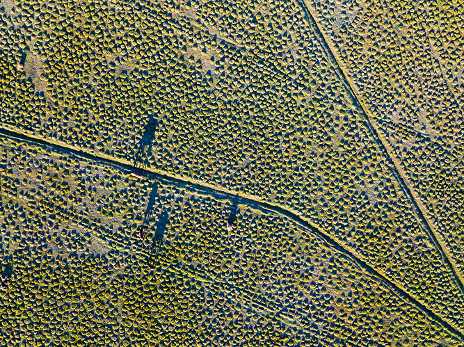 20181026_165542_DJI_0683