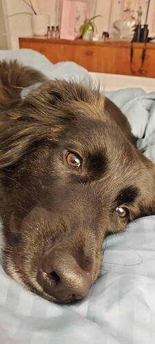 FB_IMG_1748639786405