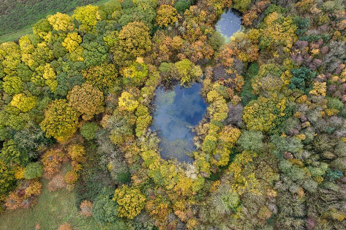 DJI_20251108120439_0475_D-1