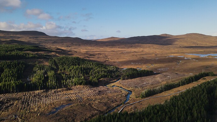 dji_fly_20251109_132520_422_1762694733030_photo