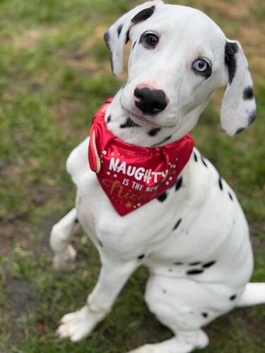 94f32c11-bc06-4d79-bacd-fc51ec88a134