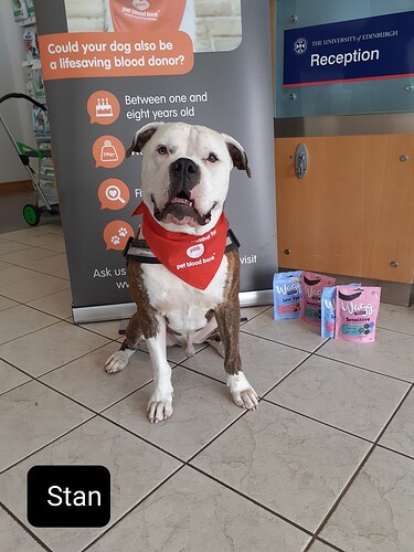 510507162_1145813050914760_2755020802852012766_n