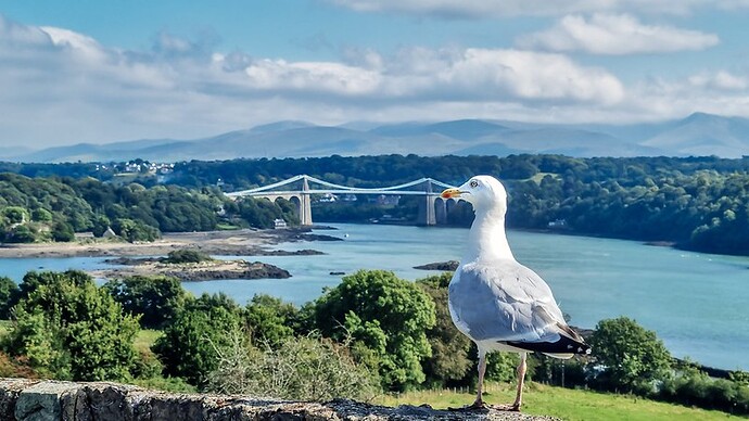 51610272731_d7d6e45e8f_c