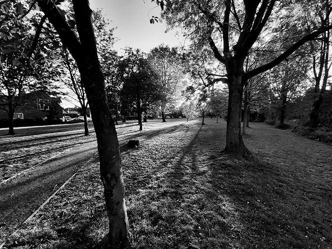 20200502_194427-01