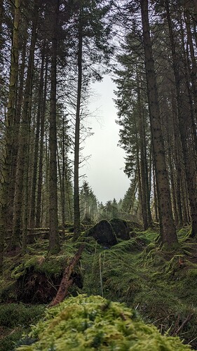 PXL_20240410_111752853