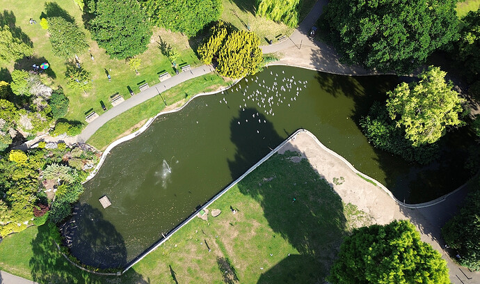 Pinner Memorial Park Pond