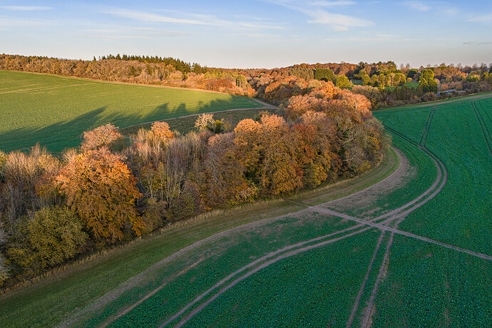 DJI_20251102161905_0004_D LR_1600