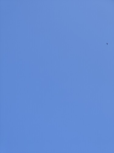 IMG20250812140514