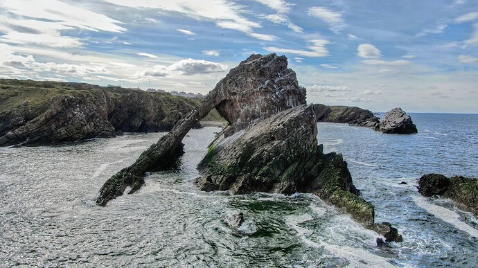 a80f55c5-7613-408b-a759-763efefda3ab~1