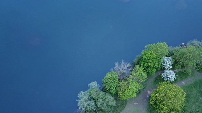 DJI_0334
