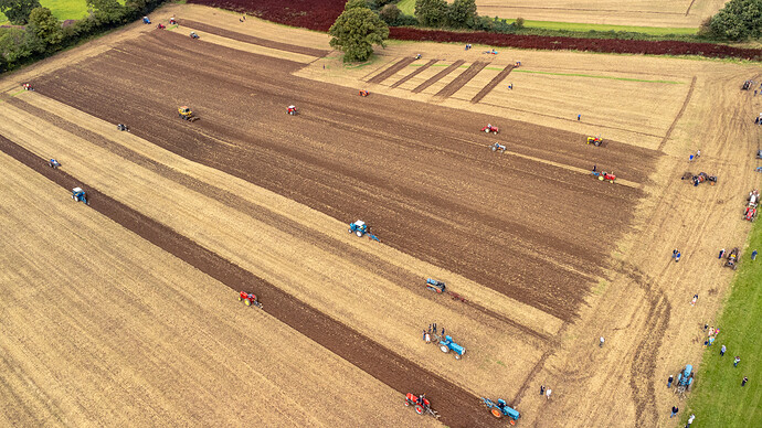 DJI_0282