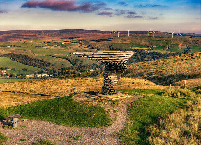 The Tree in the Evening