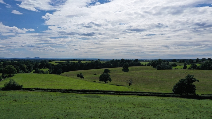 DJI_0035