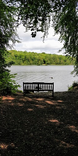 IMG_20190815_134514