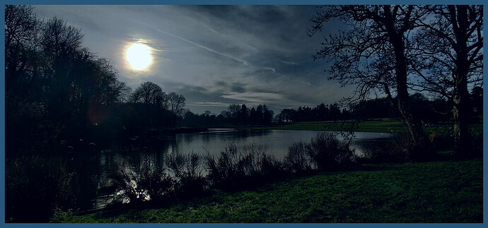 imageedit_3_3200076360