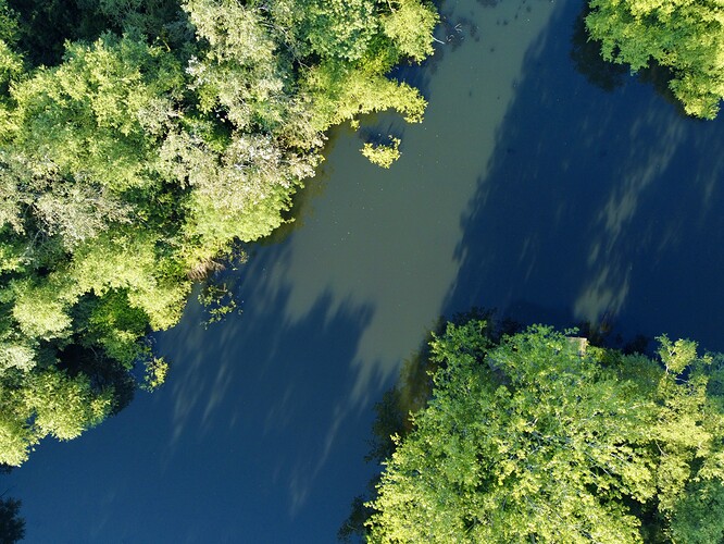 DJI_0346