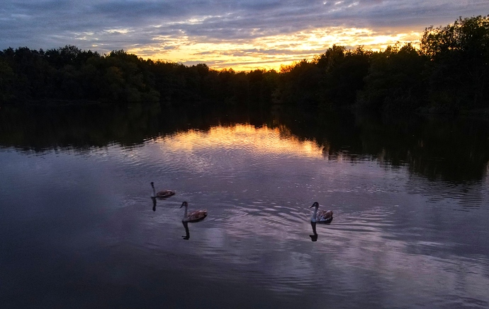 Photo_6554143_DJI_543_jpg_3655591_0_202092819246_photo_original-01