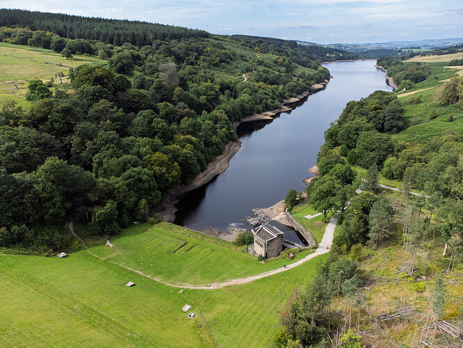 8ac06381-3a49-4321-93e6-3eb38f60194b_errwoodfer