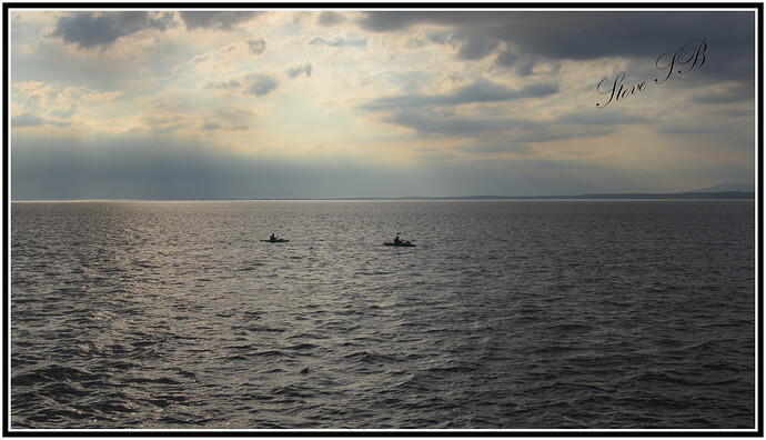 DJI_0831
