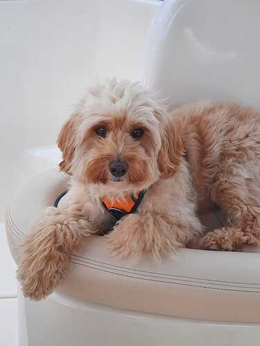 WhatsApp Image 2026-02-17 at 10.08.01 (3)