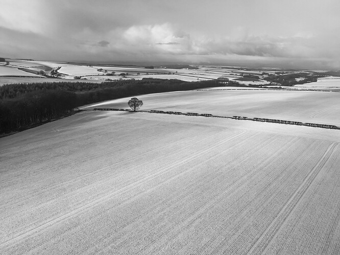 DJI_0687