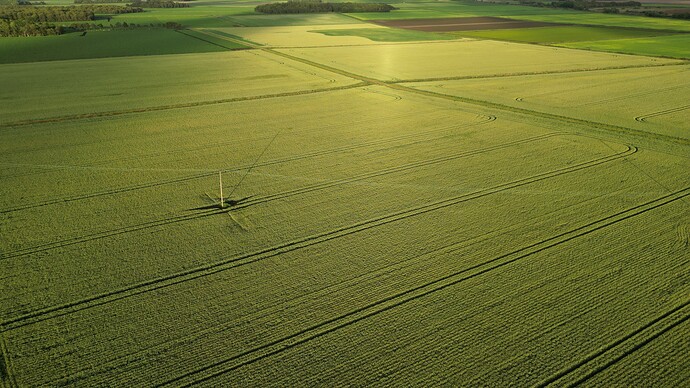 dji_fly_20240630_203730_631_1719776914230_photo