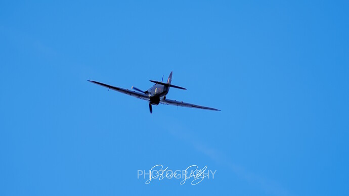 DSC_3278_01