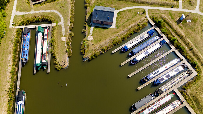 PSed_DJI_20250815110659_0480_D-1