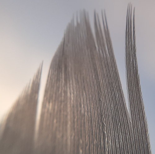 20200503_201737-01