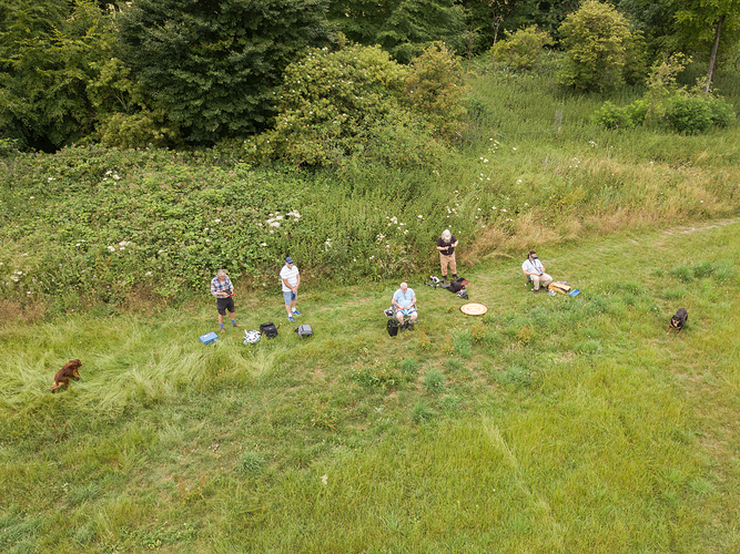 DJI_0181