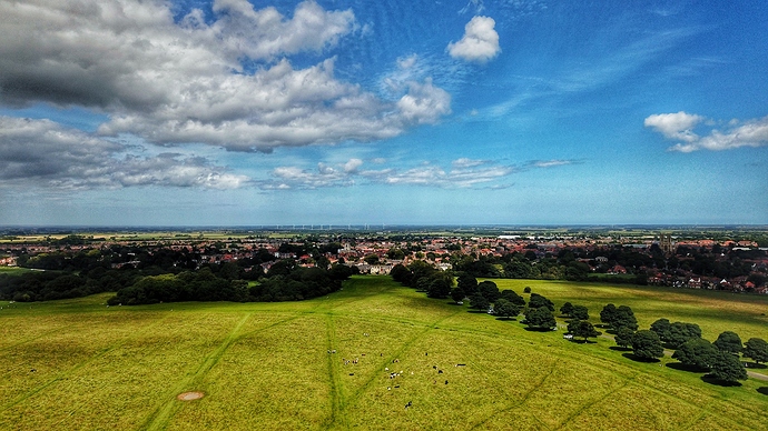 DJI_0601-01