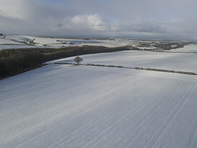 DJI_0687
