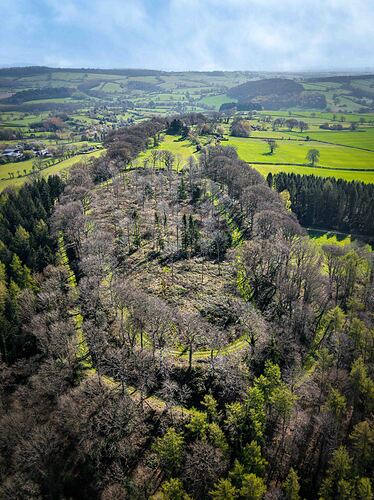 f24b7f3f-1f7b-4938-b2f2-a56e323859a2_dji_202604