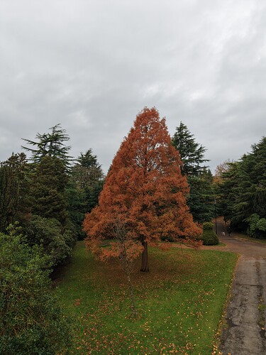 a0c02891-08c6-404c-8c53-cd1b04cf8c8a_dji_fly_20