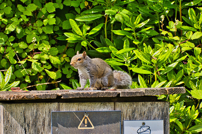 54587727134_7da181a135_o