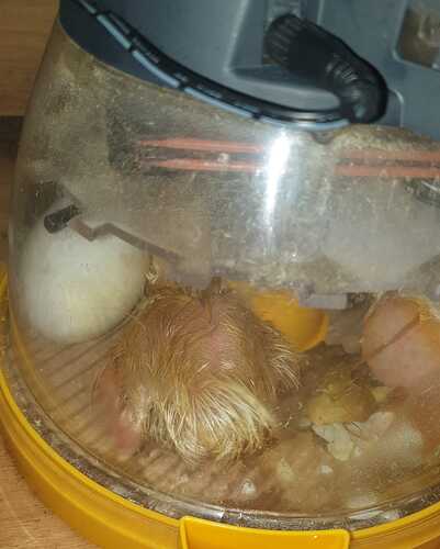 IMG-20220508-WA0000