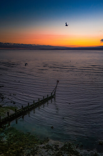 DJI_20260621043011_0106_D-Edit
