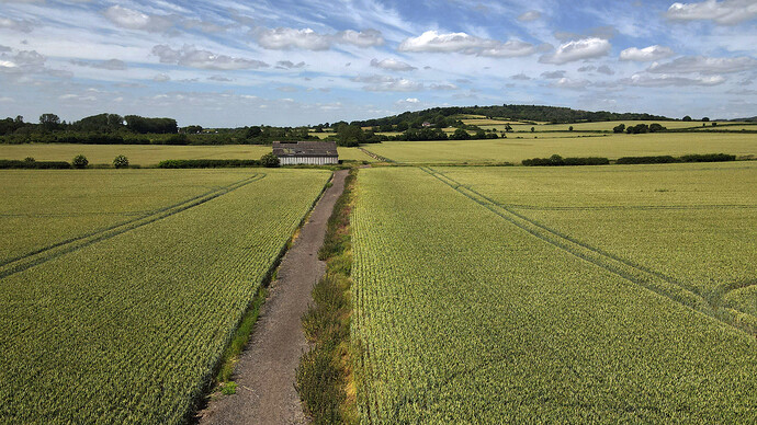 Ripening Fields