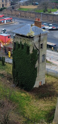 dji_fly_20250119_115534_23_1737287822678_photo_optimized_resized